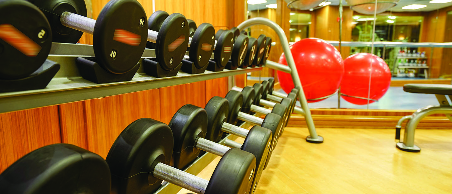 Workout room with wall of weights and exercise ball