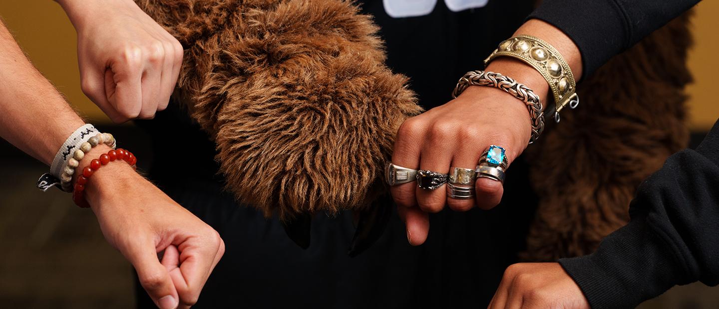 A group of four hands and the Grizz mascot paw